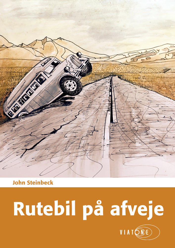 Rutebil på afveje