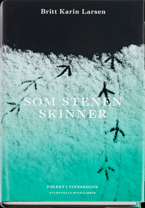 Som stenen skinner