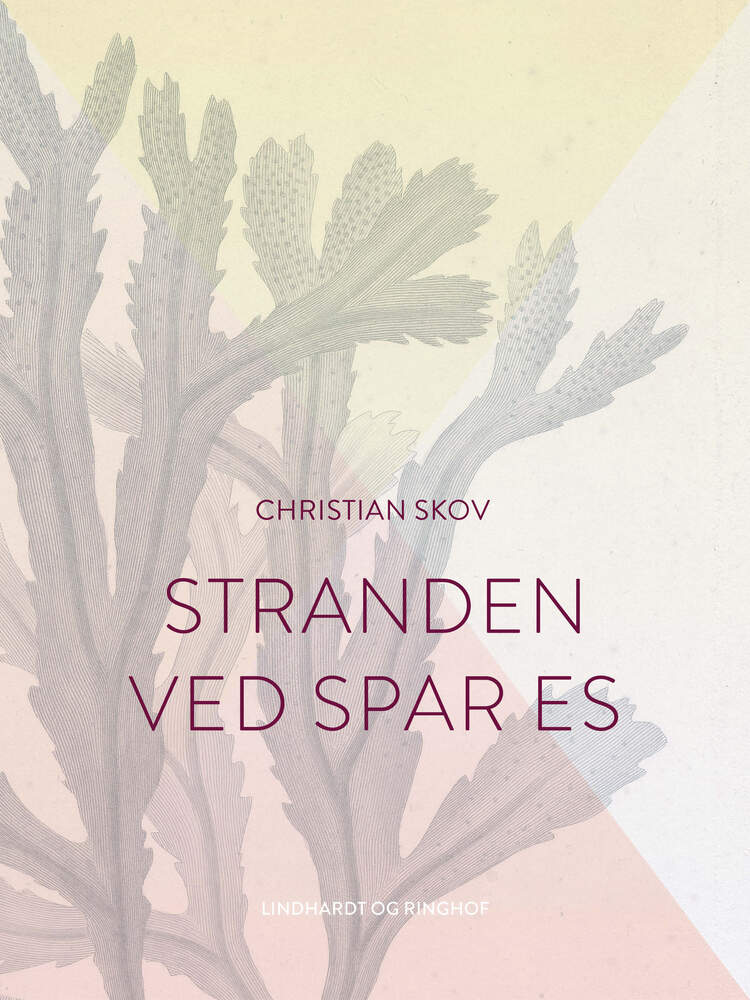 Stranden ved Spar Es
