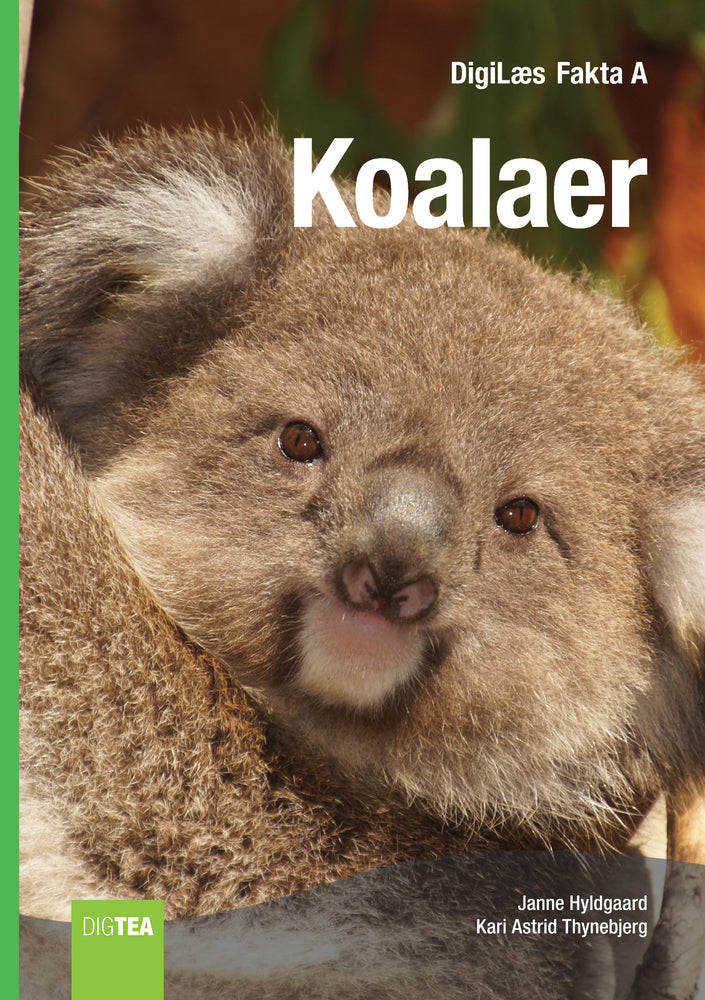 Koalaer
