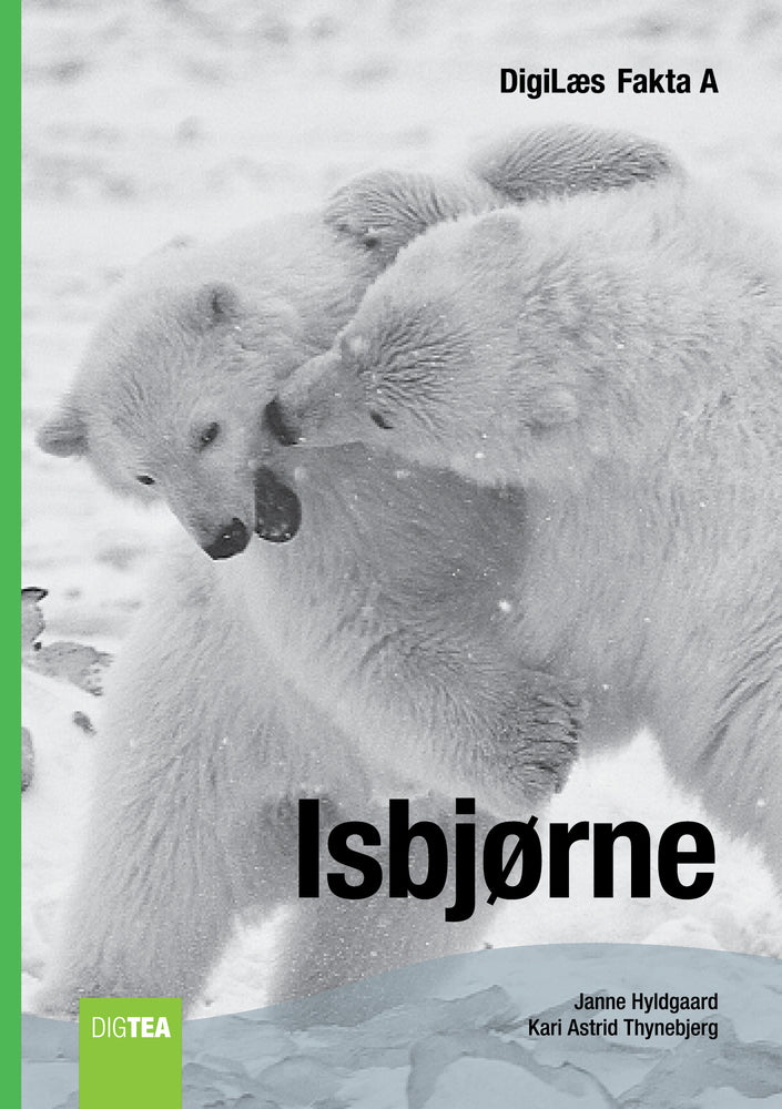 Isbjørne
