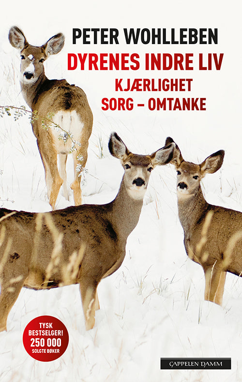 Dyrenes indre liv : kjærlighet, sorg, omtanek