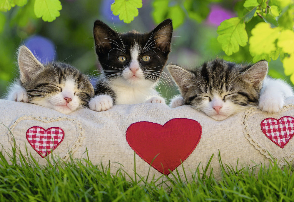 Puslespil sleepy kittens 2x24 brikker