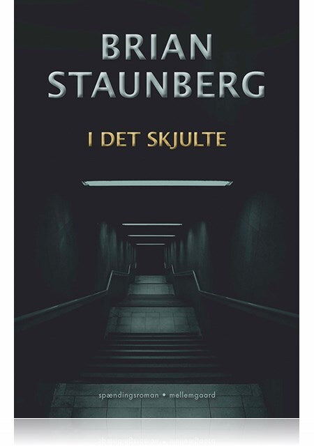 I DET SKJULTE