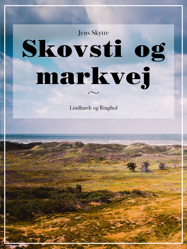 Skovsti og markvej