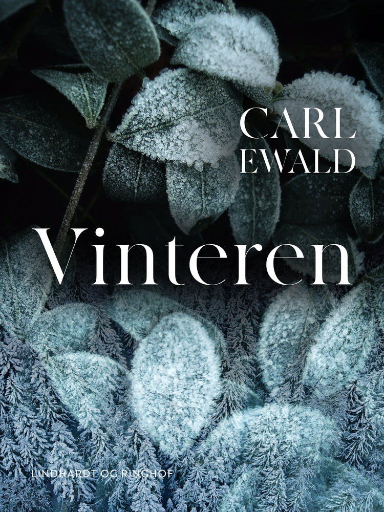 Vinteren