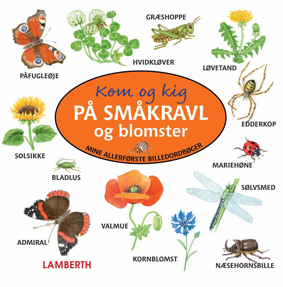 Kom og kig på småkravl og blomster