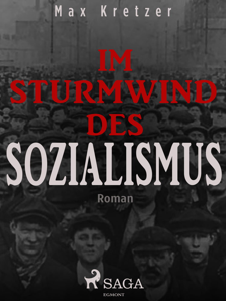 Im Sturmwind des Sozialismus