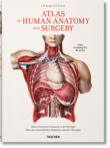 Atlas Der Menschlichen Anatomie und Chirurgie
