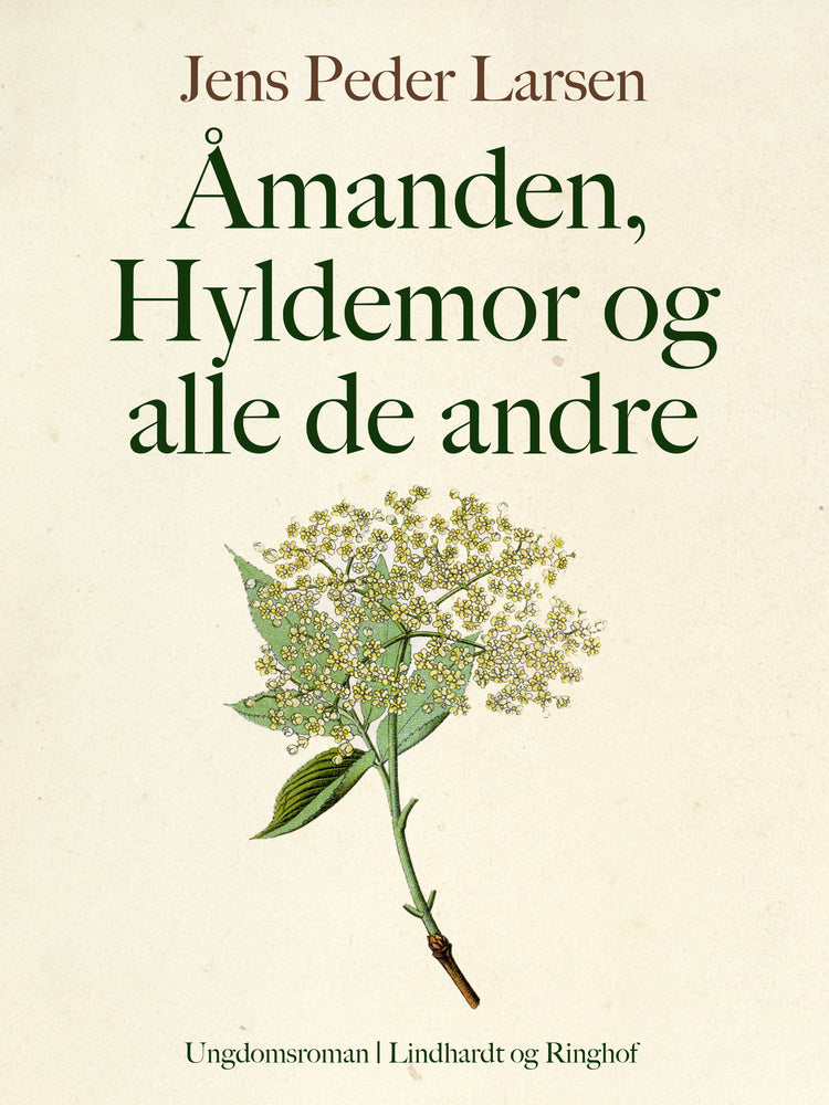Åmanden, Hyldemor og alle de andre