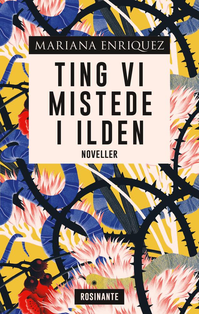 Ting vi mistede i ilden