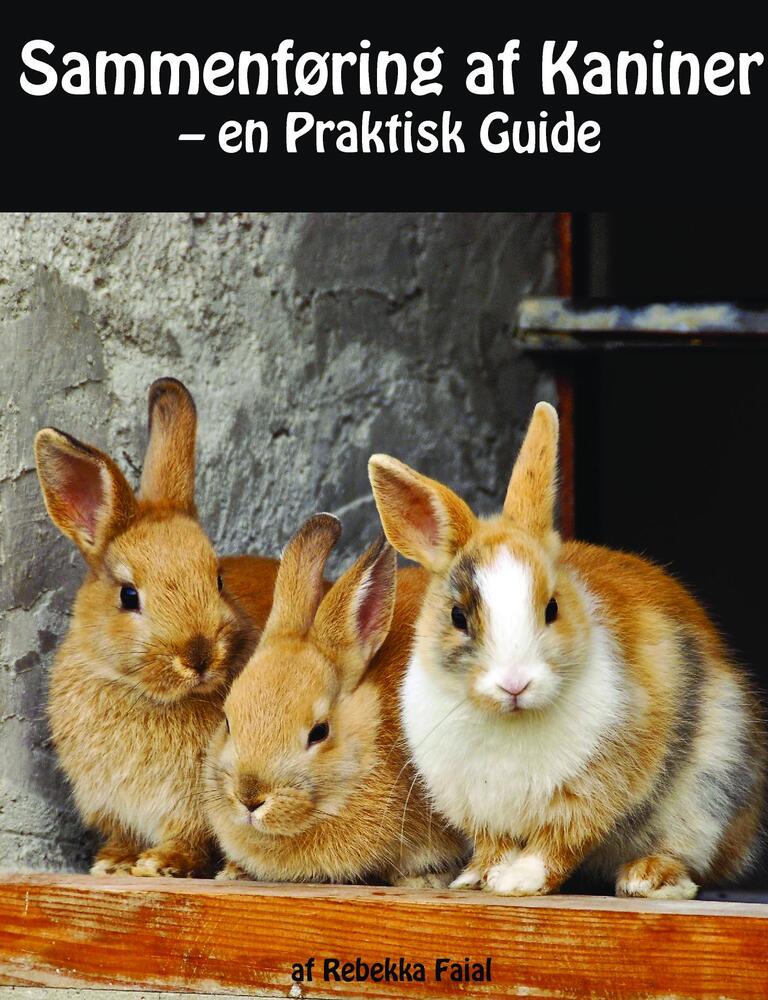 Sammenføring af Kaniner - en Praktisk Guide