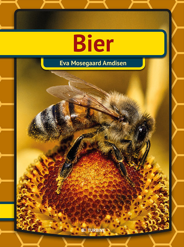 Bier