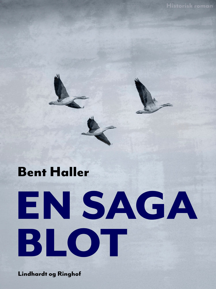 En saga blot
