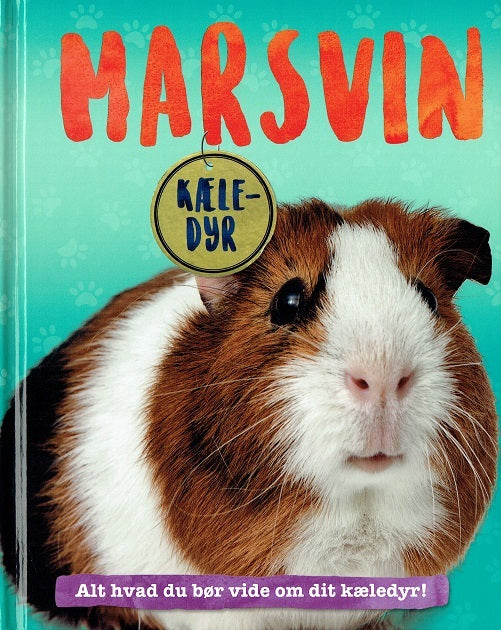 Marsvin