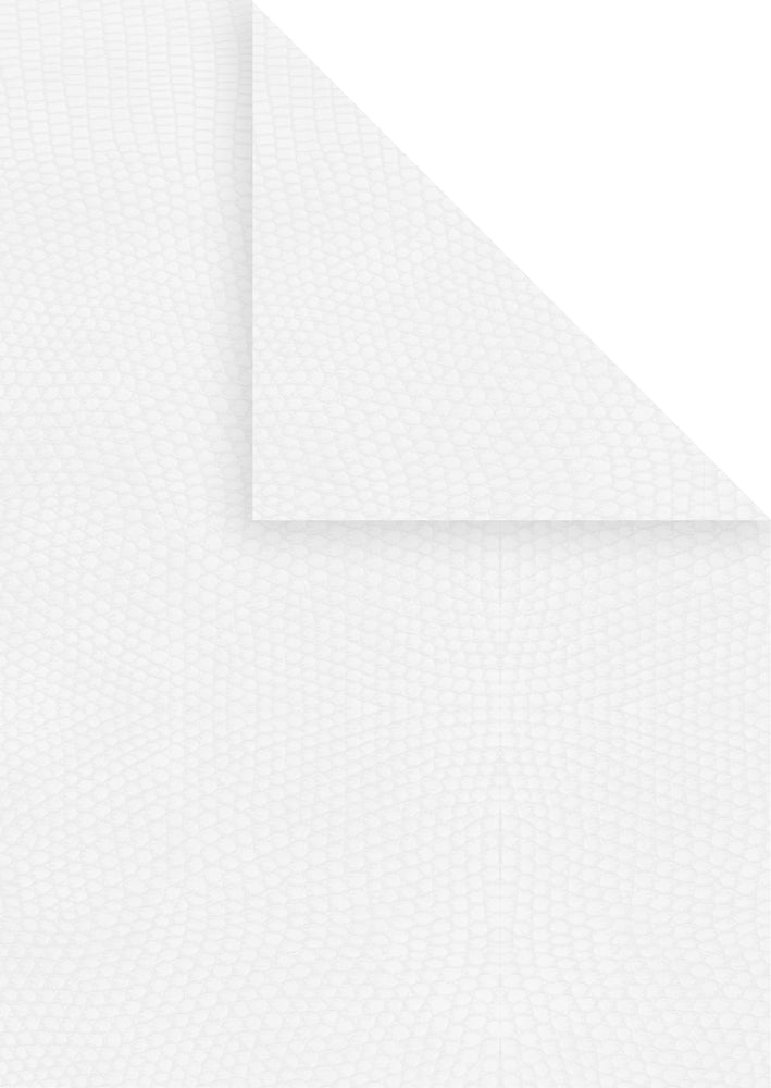 PAPIR HVID A4 100G 20 ARK