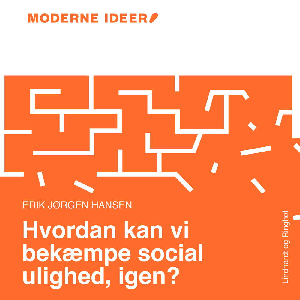 Moderne Idéer: Hvordan kan vi bekæmpe social ulighed, igen?