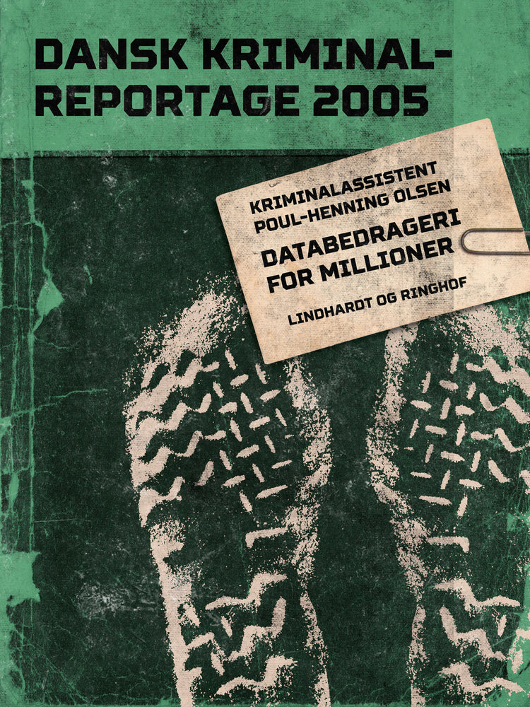 Databedrageri for millioner