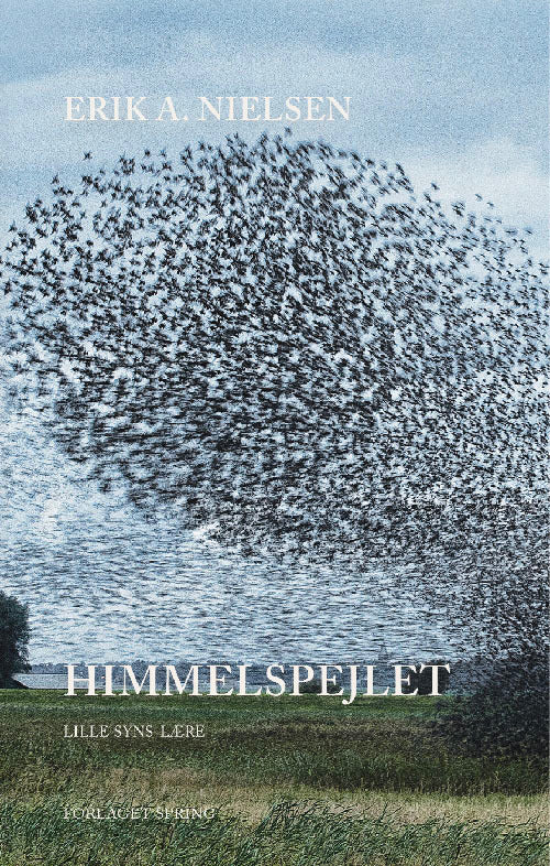Himmelspejlet