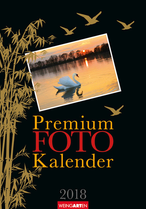 FotoKalender Bambus black 2018 Kalender