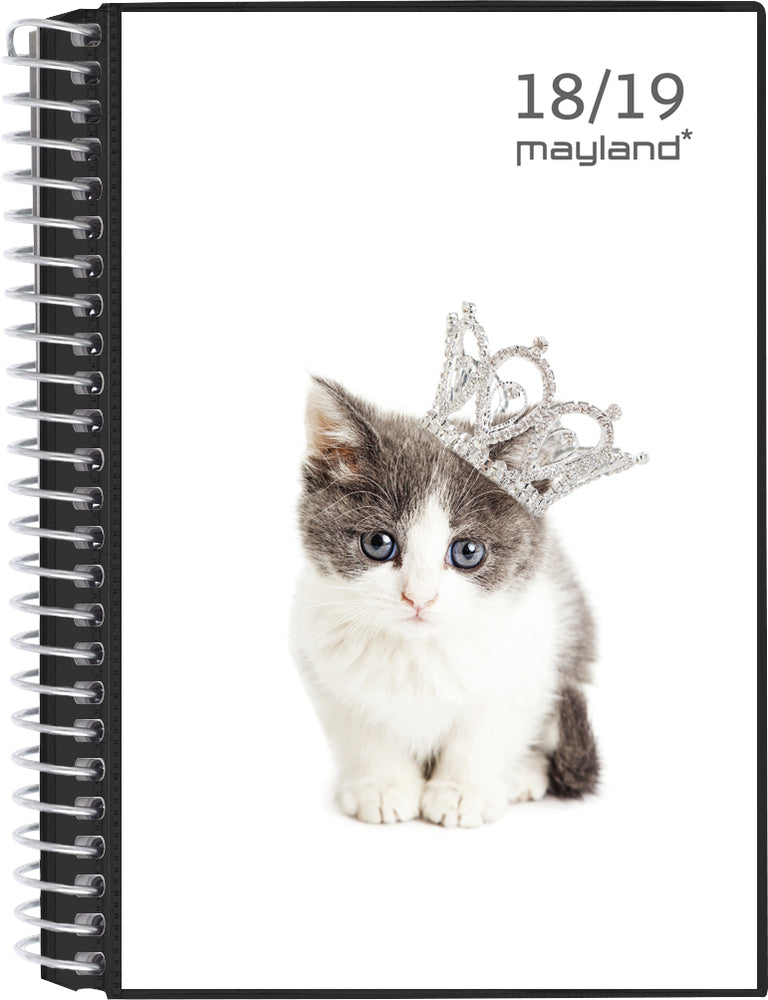LEKTIEKALENDER MAY. 18/19 STOR UGE 4I1