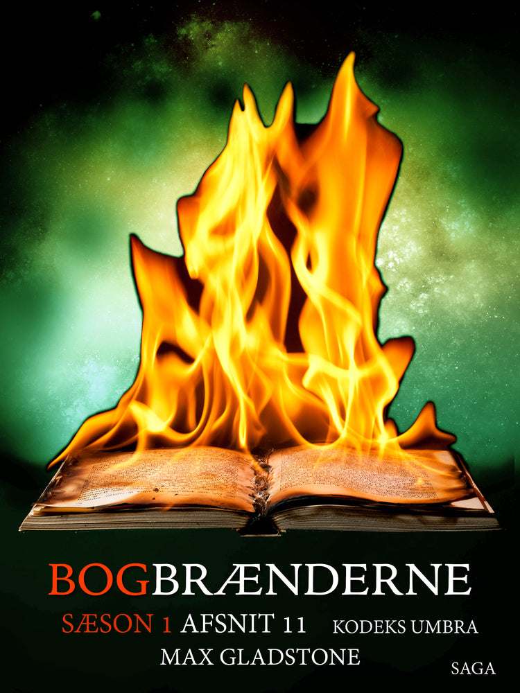 Bogbrænderne: Kodeks Umbra 11