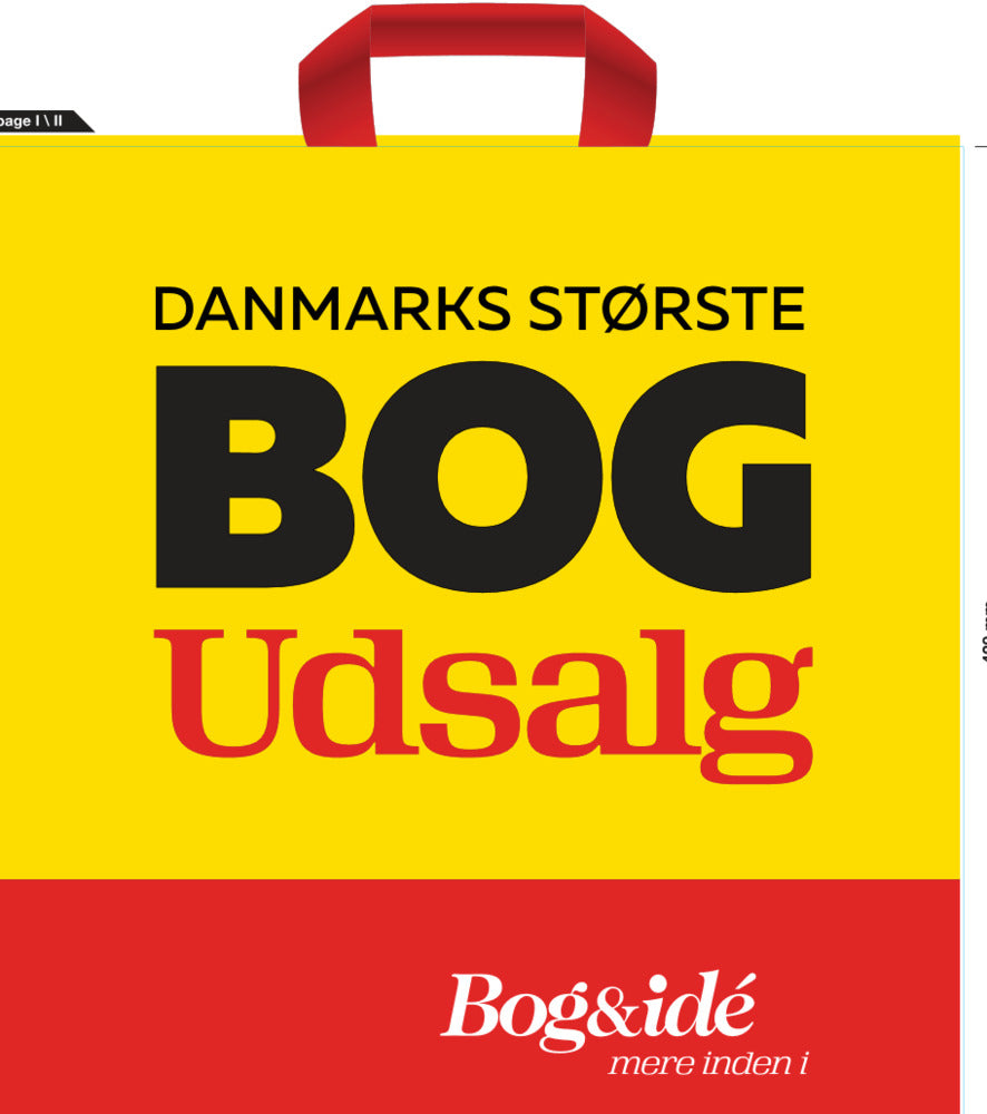 BÆREPOSE BOI BOGUDSALG 42X42CM/250 STK