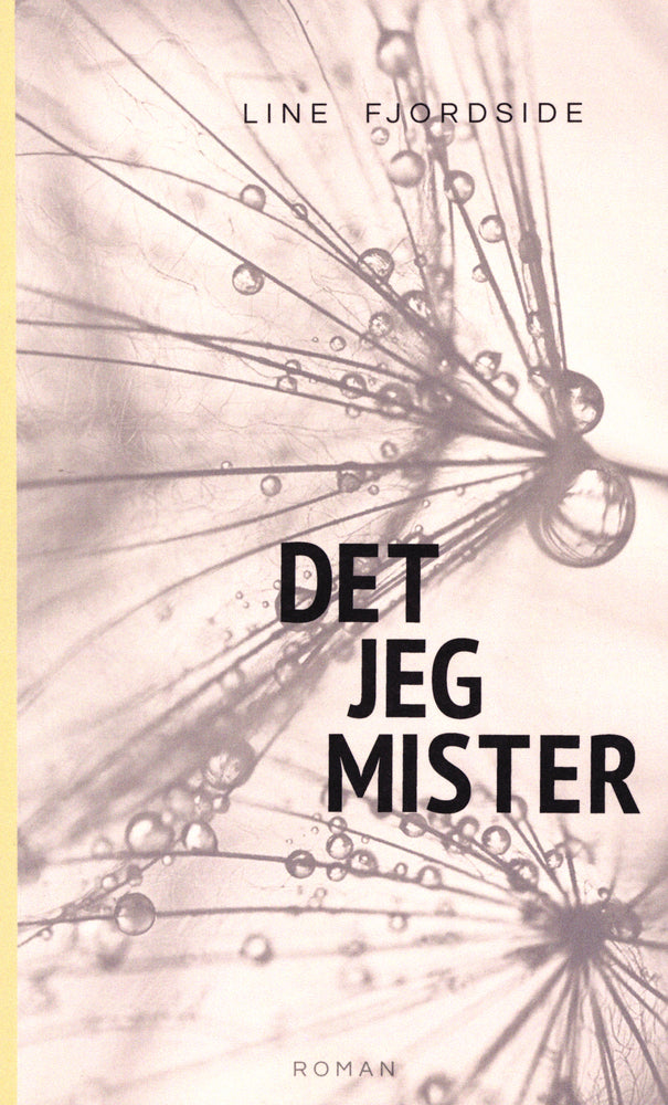 Det jeg mister