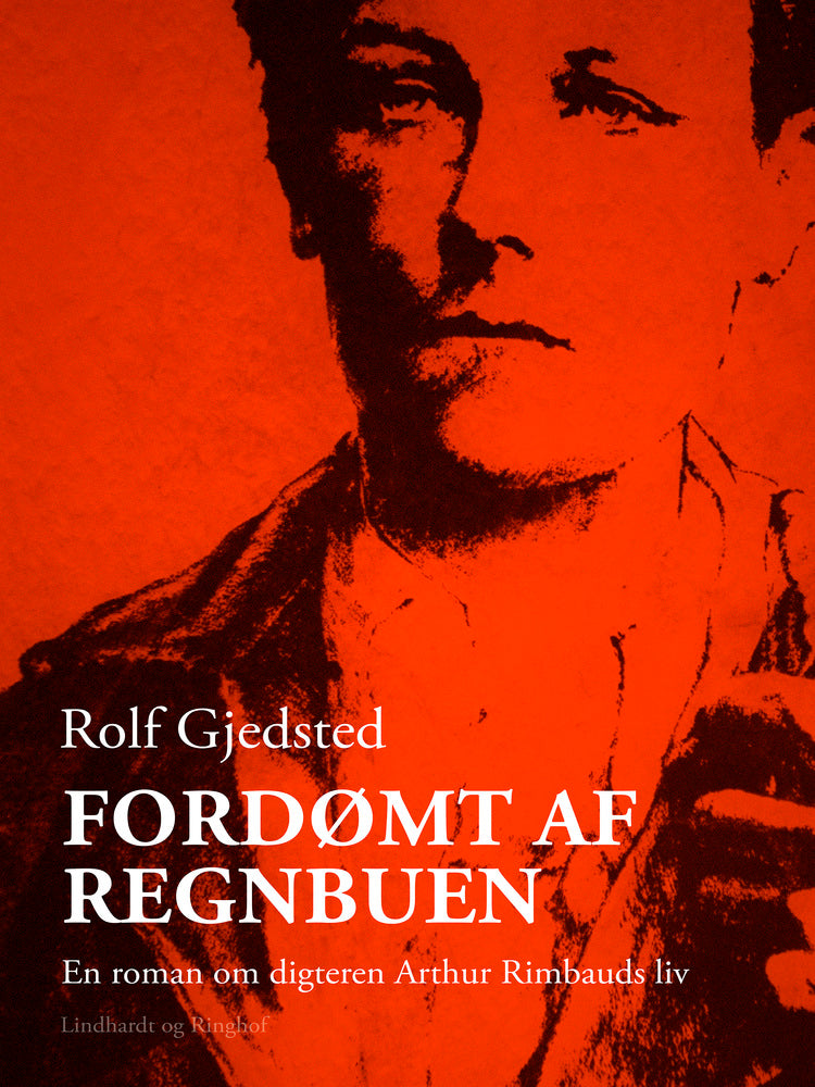 Fordømt af regnbuen. En roman om digteren Arthur Rimbauds liv