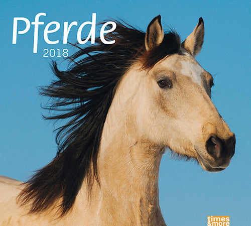 Bildkalender Pferde 2018