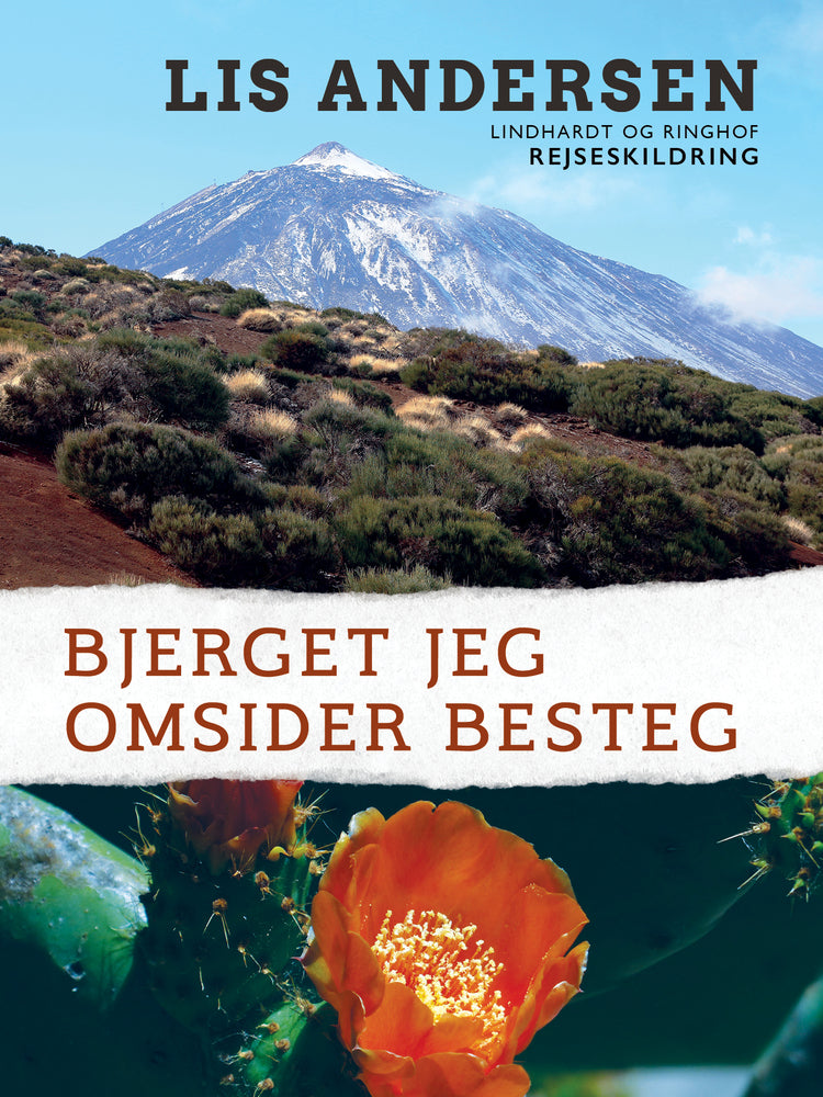 Bjerget jeg omsider besteg