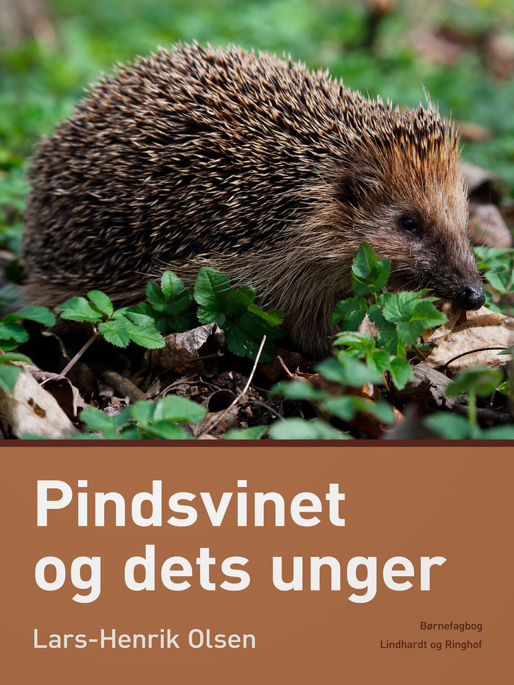 Pindsvinet og dets unger