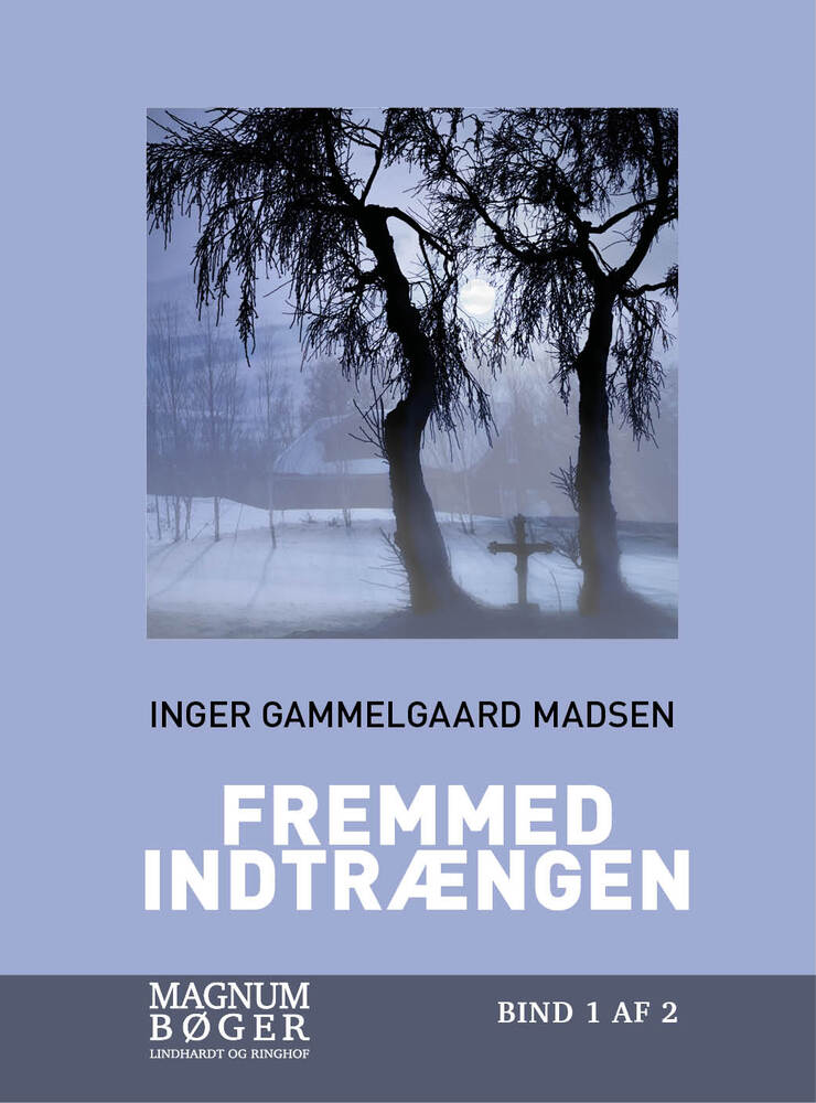 Fremmed indtrængen