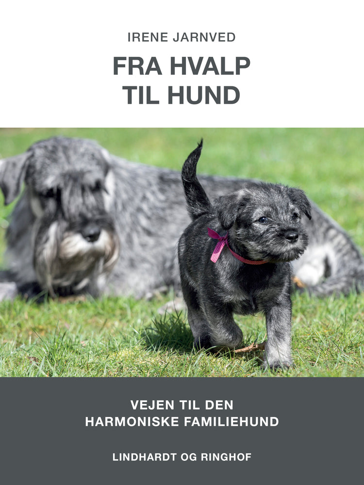 Fra hvalp til hund