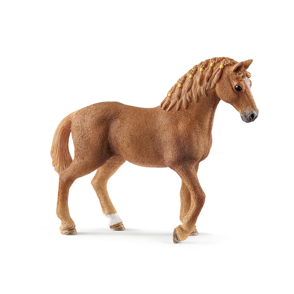 Quarter horse hoppe