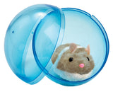 Busy little hamster limited edition ass