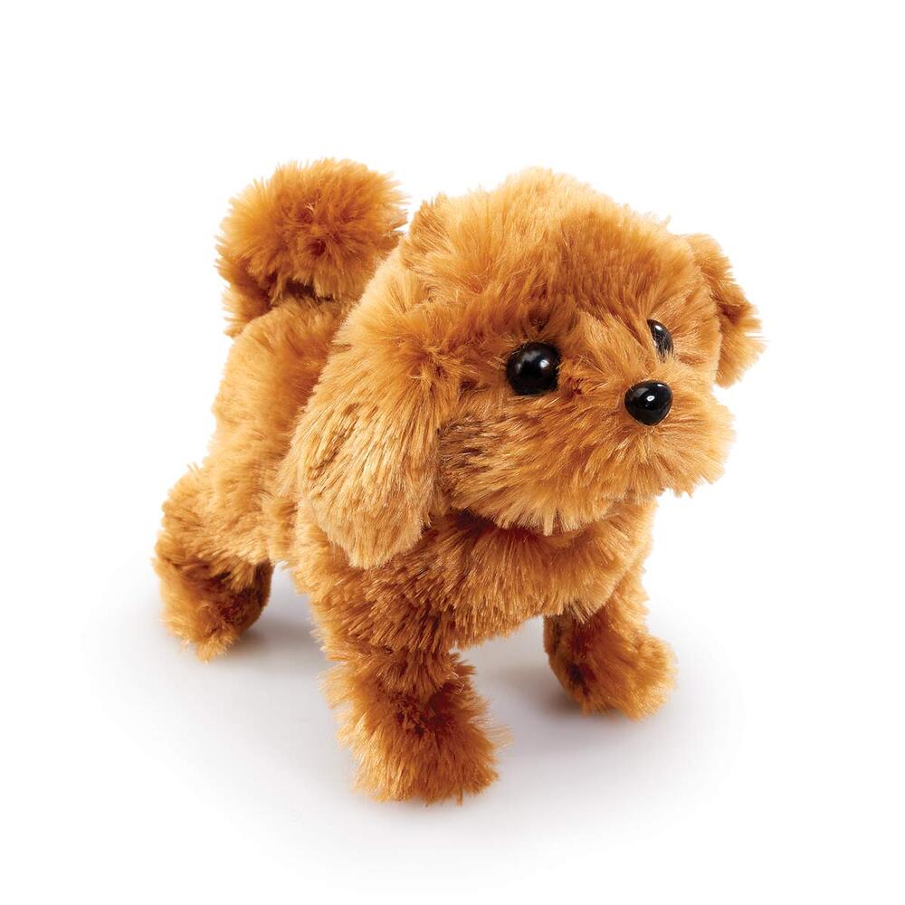 Playful pal brown