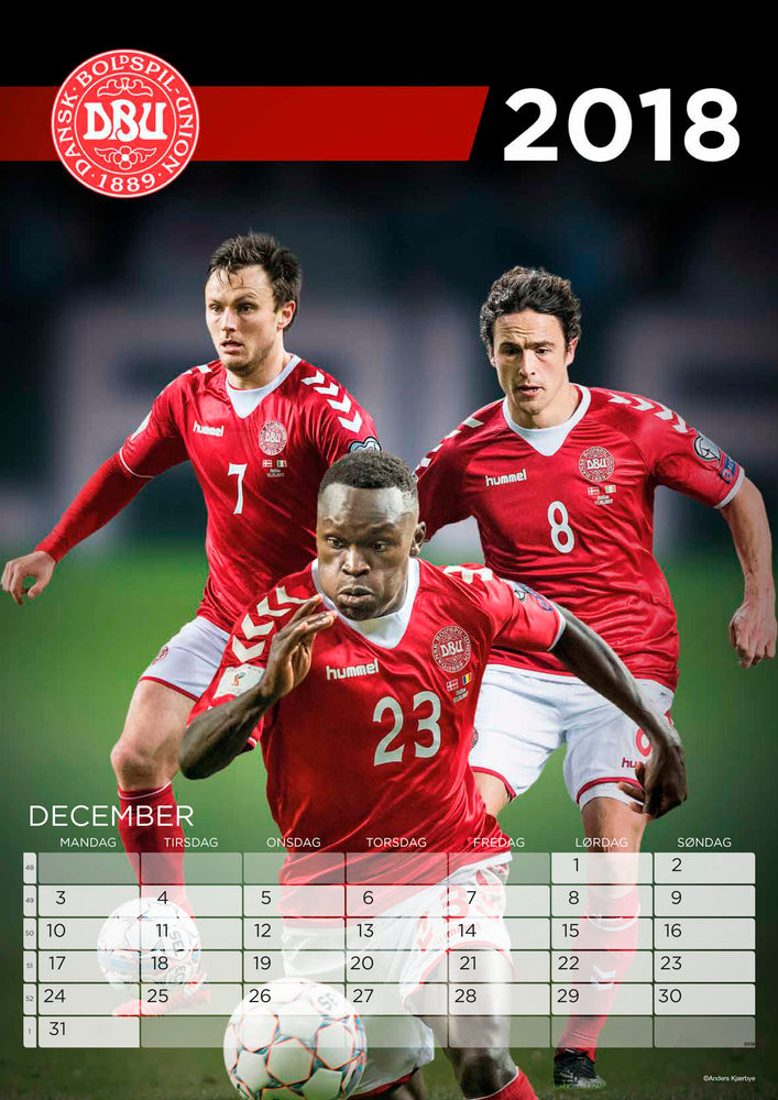 KALENDER VÆG 2018/19 A3 LANDSHOLD VM/DK