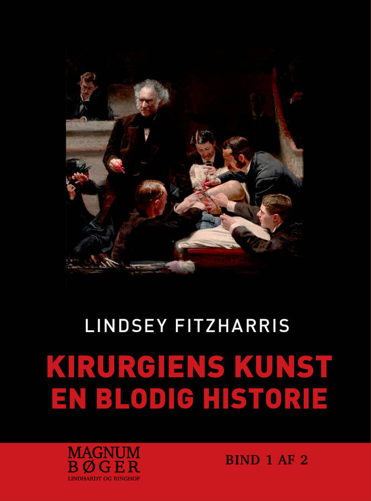 Kirurgiens kunst (storskrift)