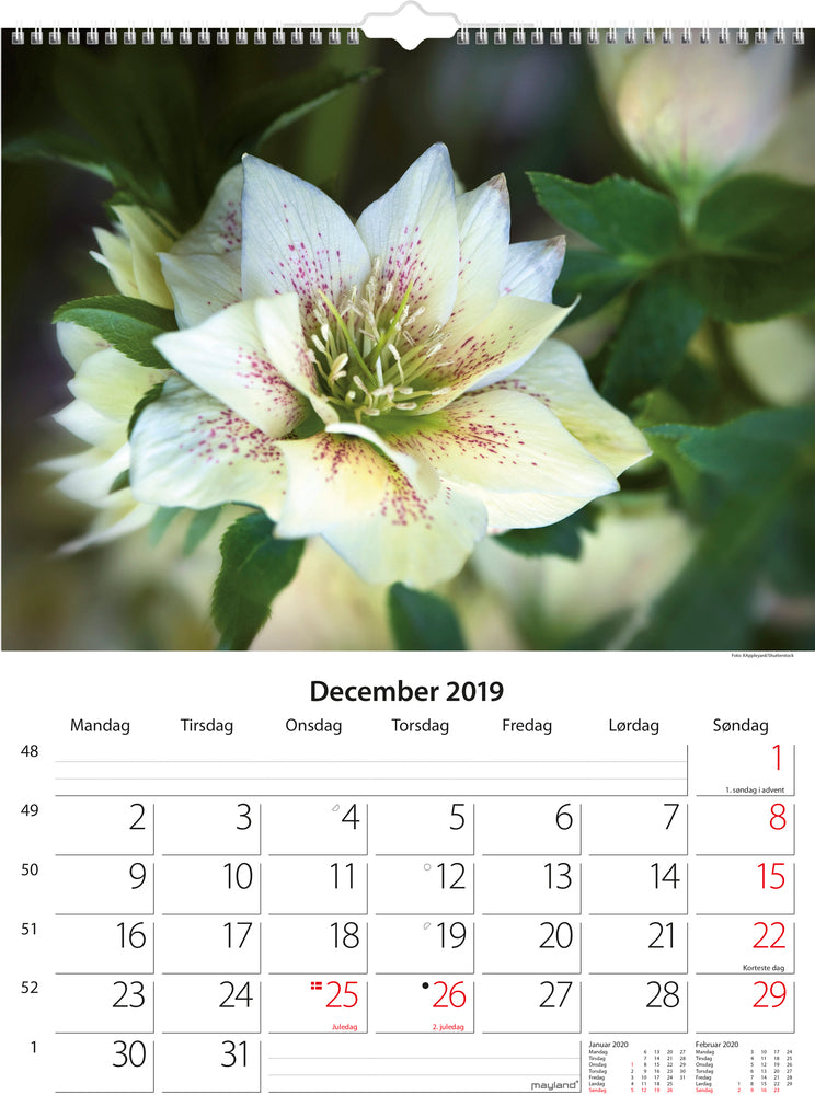 VÆGKALENDER BLOMSTER  2019 MAYLAND