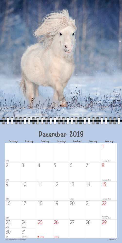 VÆGKALENDER HESTE  2019 MAYLAND