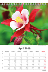 BORDKALENDER BLOMSTER 2019 MAYLAND