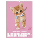 VÆGKALENDER 2019 KITTENS