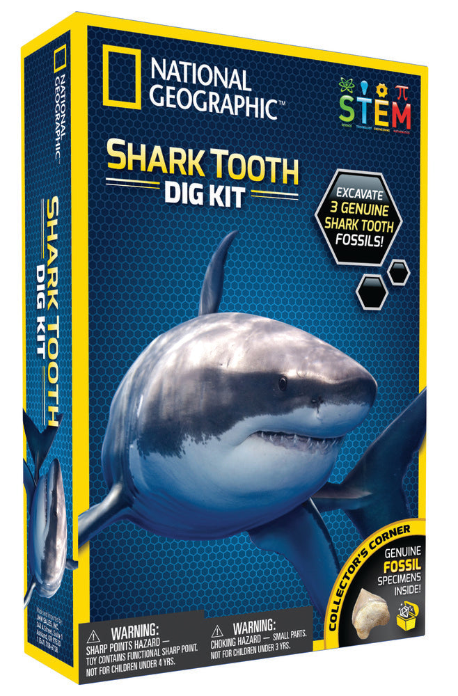 Shark teeth dig kit