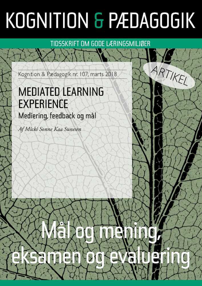 Mediated Learning Experience