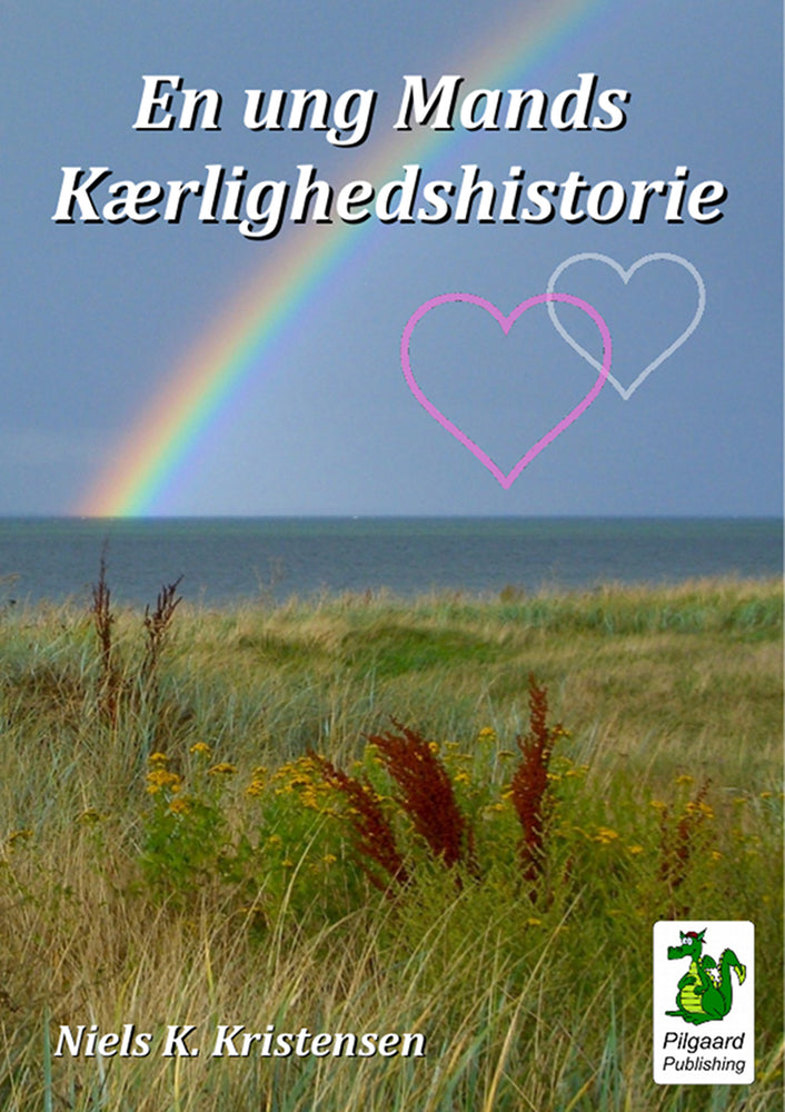 En ung Mands Kærlighedshistorie