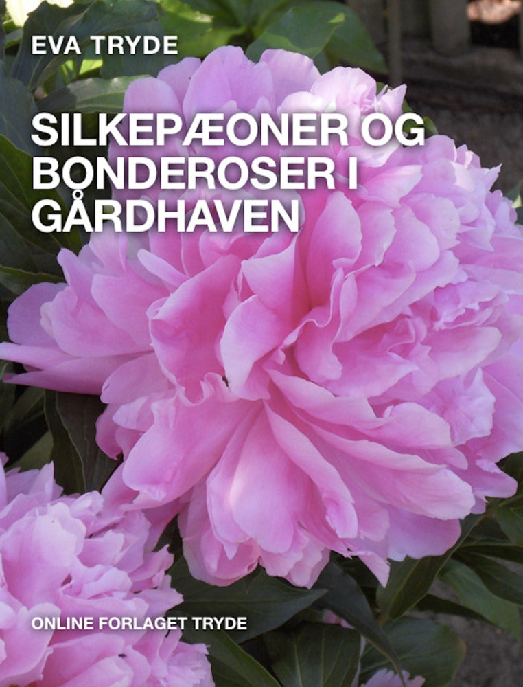 SILKEPÆONER OG BONDEROSER I GÅRDHAVEN