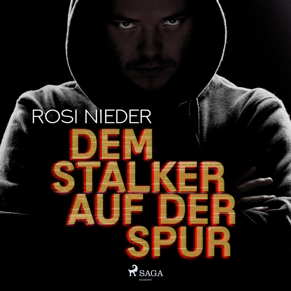 Dem Stalker auf der Spur - Kriminalroman
