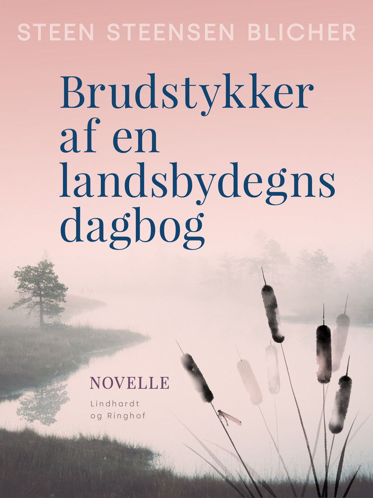 Brudstykker af en landsbydegns dagbog