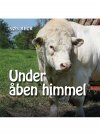 UNDER ÅBEN HIMMEL